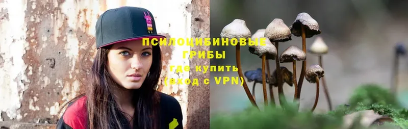 Галлюциногенные грибы Magic Shrooms  как найти наркотики  Палласовка 